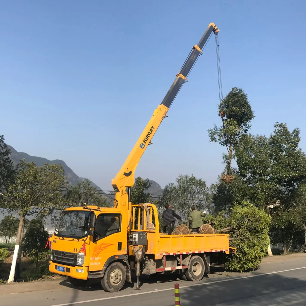A 5 ton truck mounted crane with a telescopic boom (truck mounted telescopic crane) is being used by a customer to lift large trees for a landscaping job outdoors.