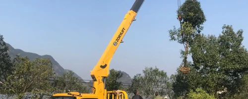 A 5 ton truck mounted crane with a telescopic boom (truck mounted telescopic crane) is being used by a customer to lift large trees for a landscaping job outdoors.
